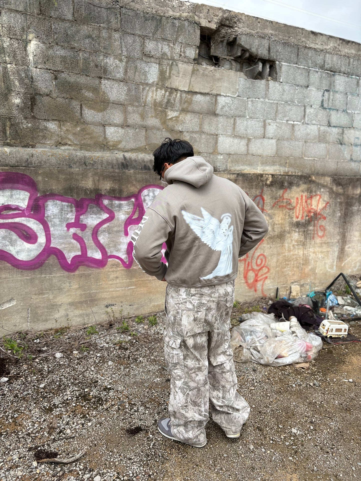 Philippians 4:13 Hoodie